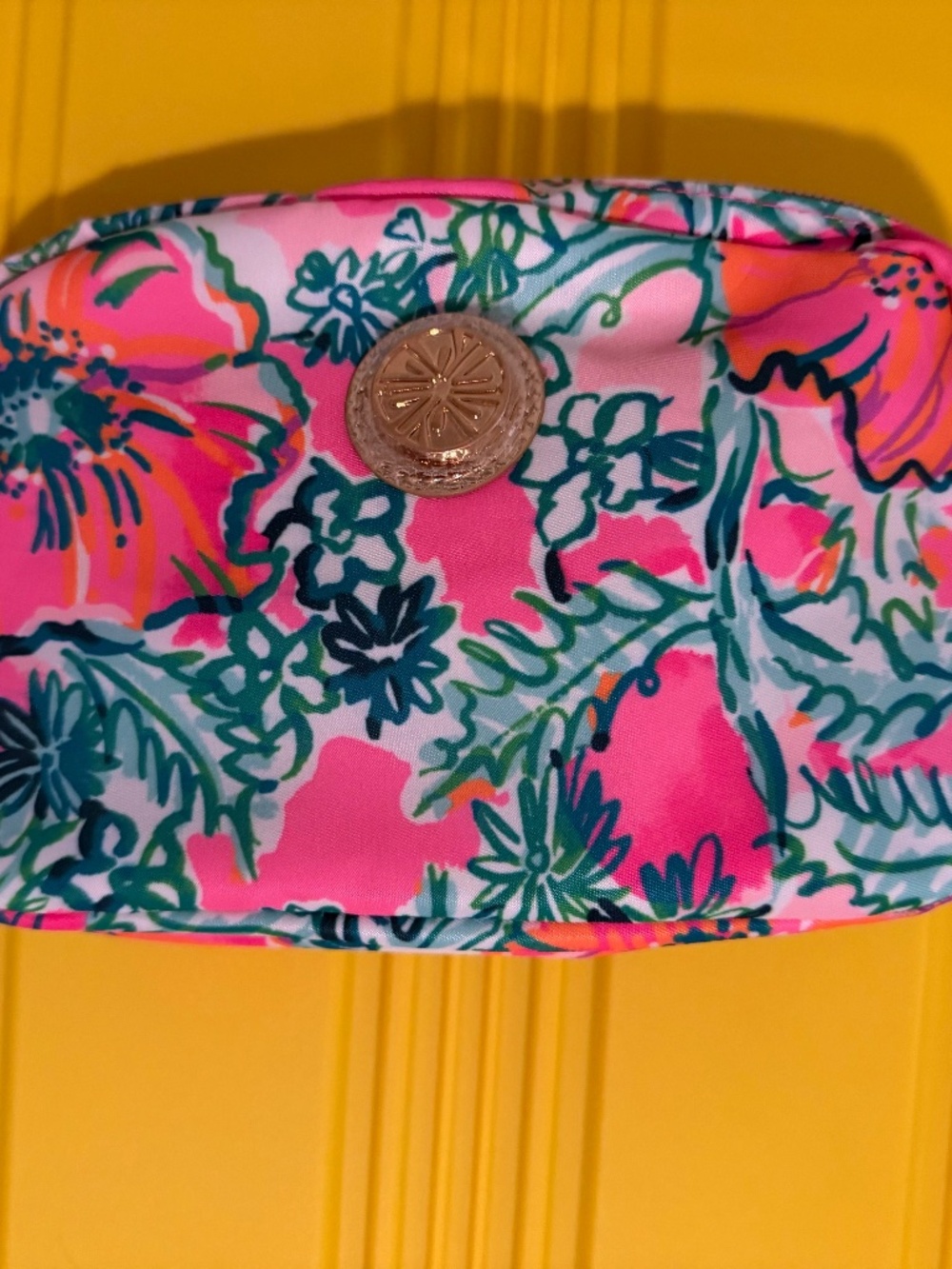 New Lilly belt bag